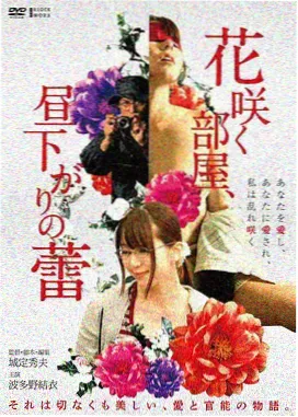 色彩与色温观察示意图